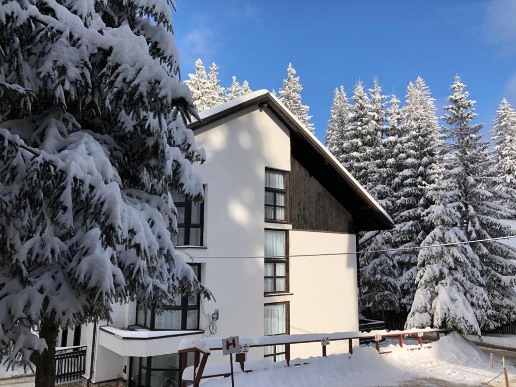 Montana Residence ポイアナ・ブラショフ エクステリア 写真