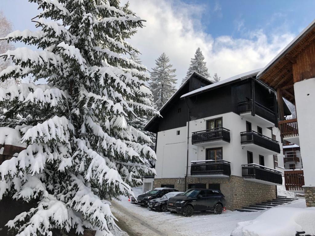 Montana Residence ポイアナ・ブラショフ エクステリア 写真