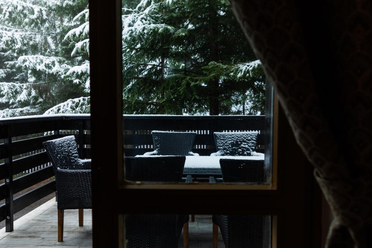 Montana Residence ポイアナ・ブラショフ エクステリア 写真