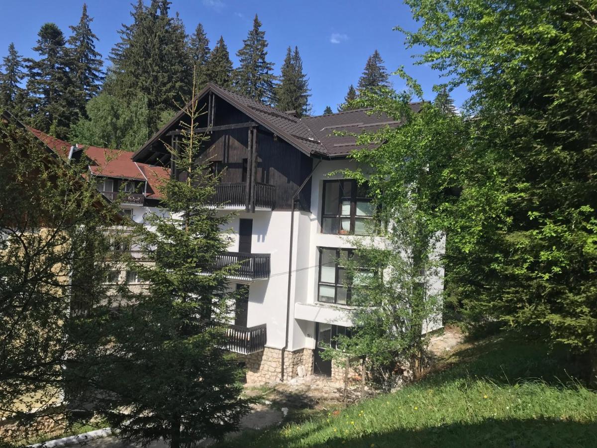 Montana Residence ポイアナ・ブラショフ エクステリア 写真