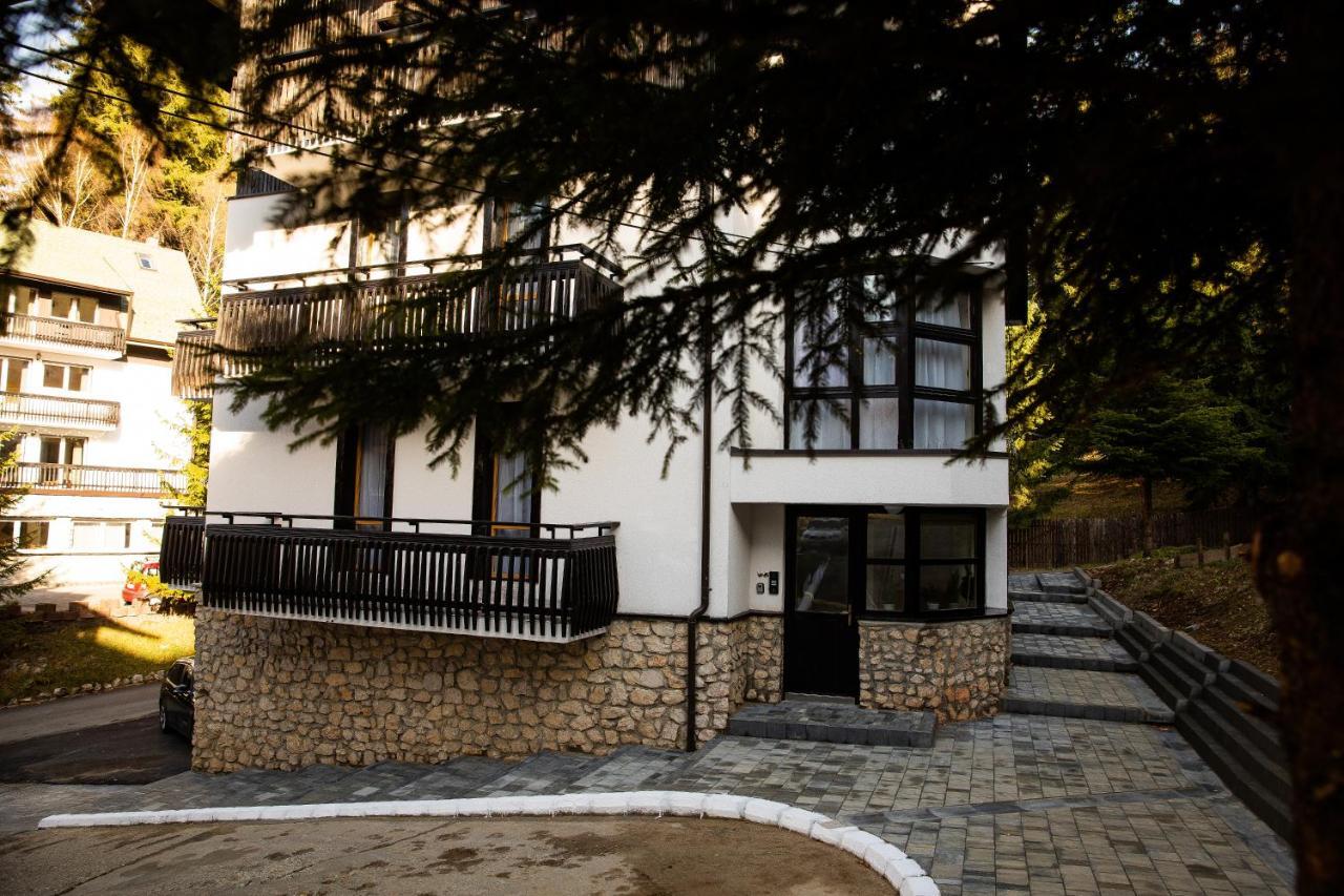 Montana Residence ポイアナ・ブラショフ エクステリア 写真
