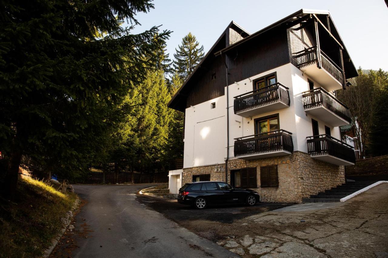 Montana Residence ポイアナ・ブラショフ エクステリア 写真